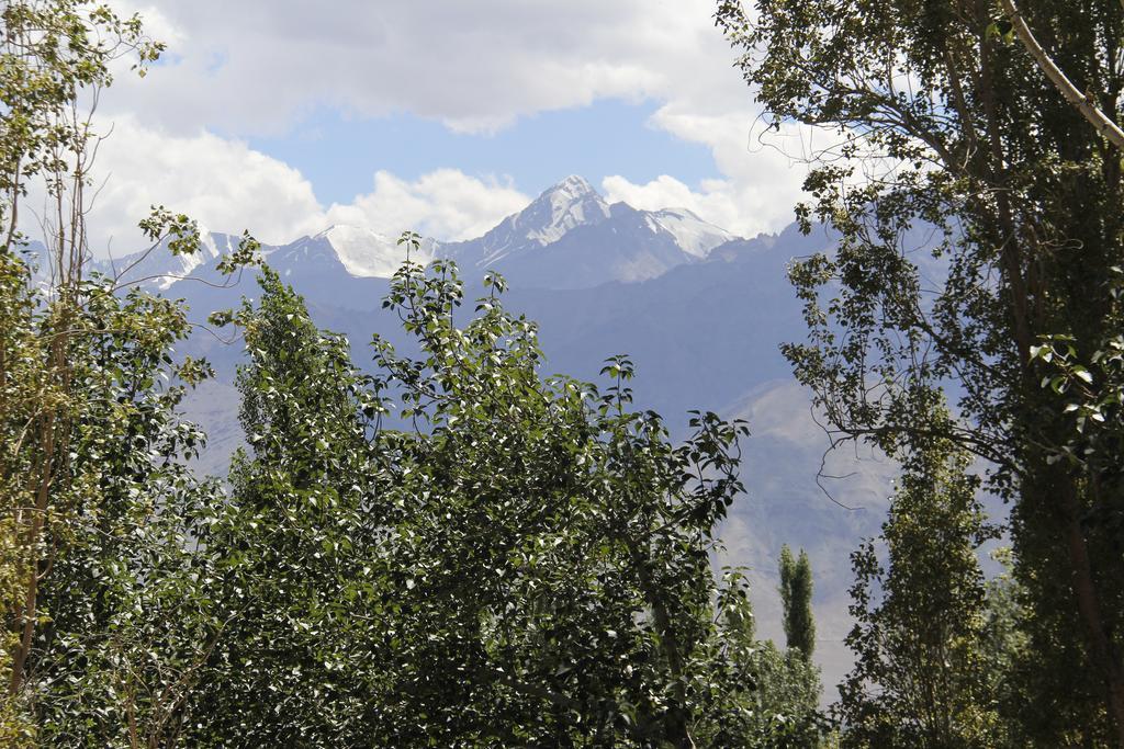 Mentokling Guest House And Garden Restaurant Leh Exterior photo