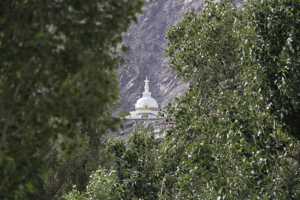 Mentokling Guest House And Garden Restaurant Leh Exterior photo